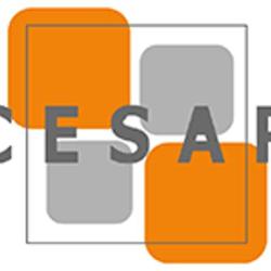 Cesar