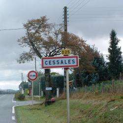 Cessales