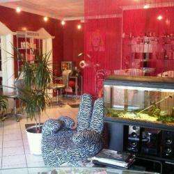 Cess&co Coiffure