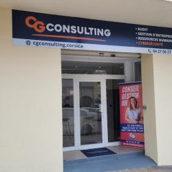 Cg Consulting