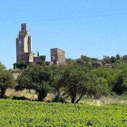 Chamaret