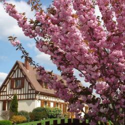 Chambre D'hôtes  Au Temps Des Cerises