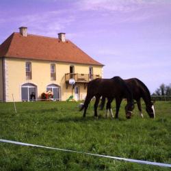 Chambre D'hôtes  Boutons D'or