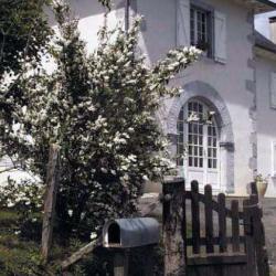 Chambre D'hôtes Etche