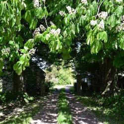 Chambre D'hôtes La Rivière