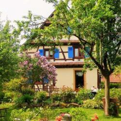 Chambre D'hôtes Le Jardin De L'ill