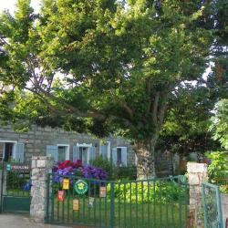 Chambre D'hôtes U Rughjonu