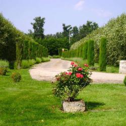 Chambre D'hôtes Véronique Et Thomas