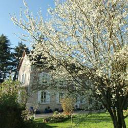 Chambre D'hôtes  Villa Magnolia