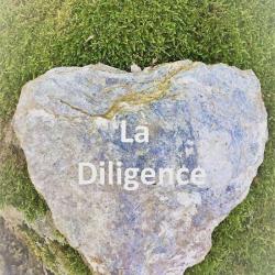 Chambres D' Hotes Corse La Diligence