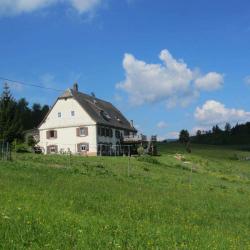 Chambres D'hôtes Des Combes