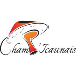 Champ ' Icaunais