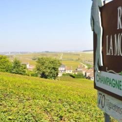 Champagne Andre Delaunois
