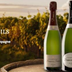 Champagne Dubreuil - Earl Le Bagnolet
