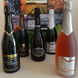 Champagne Le Brun-le Gouive