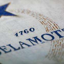 Champagne Salon Champagne Delamotte