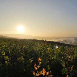 Champagne Vadin Plateau