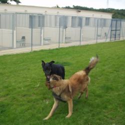 Champeyroux Yves Pension Canine Les Baloyes
