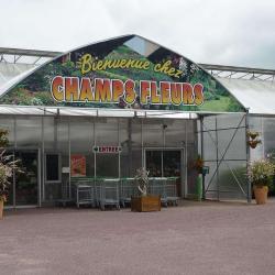Champs Fleurs