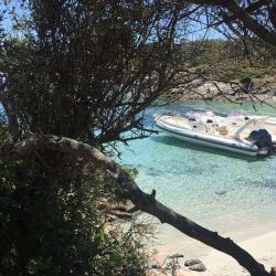 Chantiers Navals De Calvi