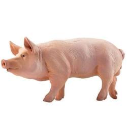 Charcuterie Pons