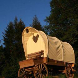 Chariot Western - La Ferme Aventure