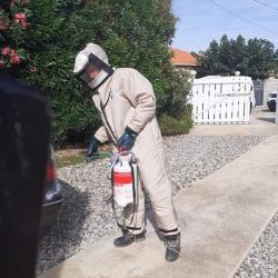 Chasseur De Frelon 66 Perpignan