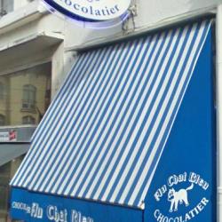 Chat Bleu