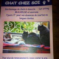 Chat Chez Soi  Cat Sitting