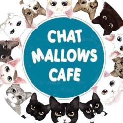 Chat Mallows Café