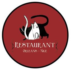 Chat Noir Chat Blanc