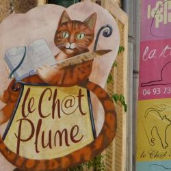Chat Plume
