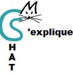 Chat S'explique
