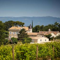 Chateau Bizard