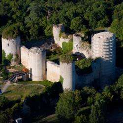 Chateau Coudray Salbart