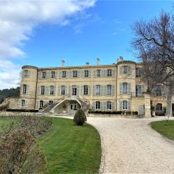 Château D ' Estoublon