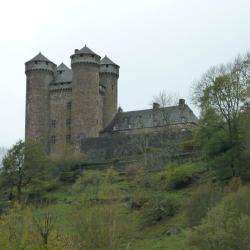 Château D'anjony