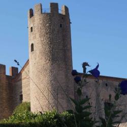 Château D’essalois