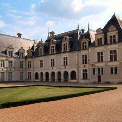 Château De Beauregard