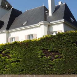 Château De Bordeneo