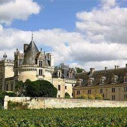 Château De Brézé