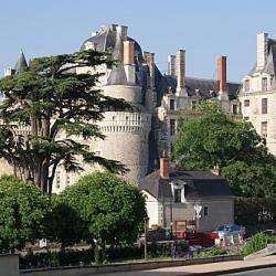 Château De  Brissac