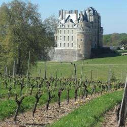 Château De  Brissac