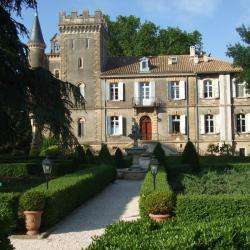 Chateau De Capion