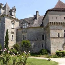 Château De Cenevières