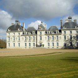 Château De Cheverny
