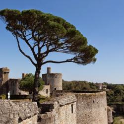 Château De Clisson