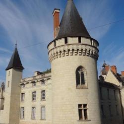 Château De Dissay