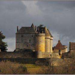 Château De Fenelon