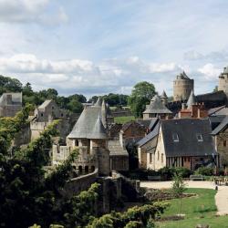 Château De Fougères